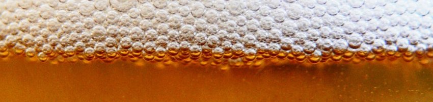 PILSNER FEST